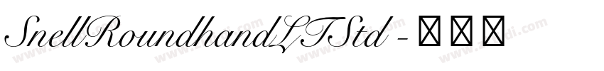 SnellRoundhandLTStd 字体转换